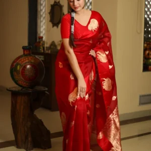 Red Pure Kora Silk Handloom Banarasi Saree