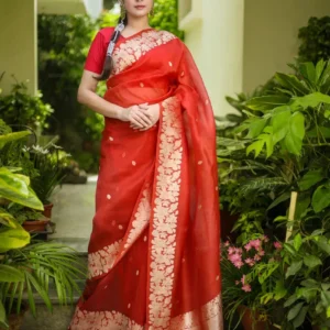 Orange Pure Kora Silk Handloom Banarasi Saree