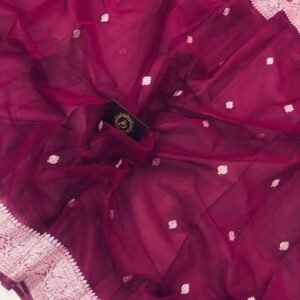 Hibiscus shade Pure Banarasi Khaddi Chiffon Saree